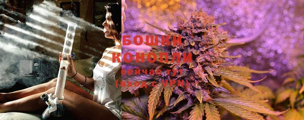 стаф Мегион