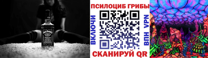 Купить Карталы Псилоцибиновые грибы GOLDEN TEACHER
